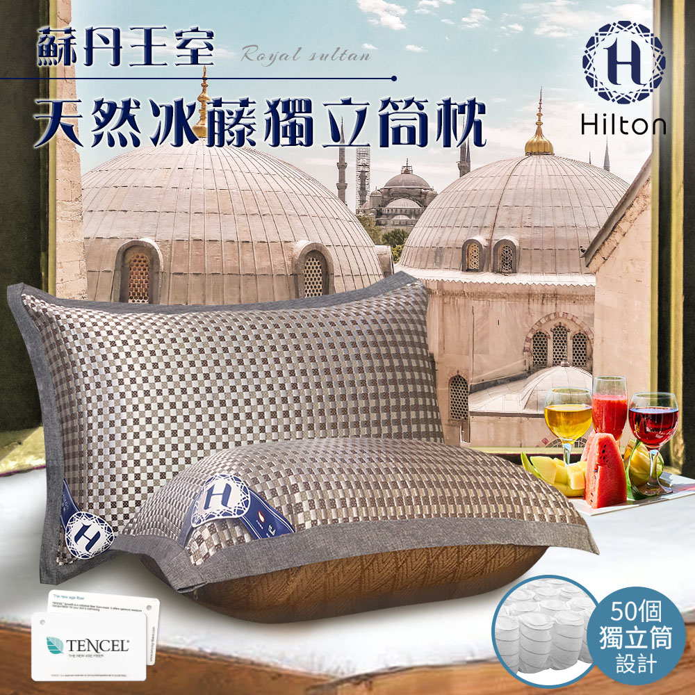 希爾頓格紋冰藤獨立筒枕單顆入-(咖啡色)