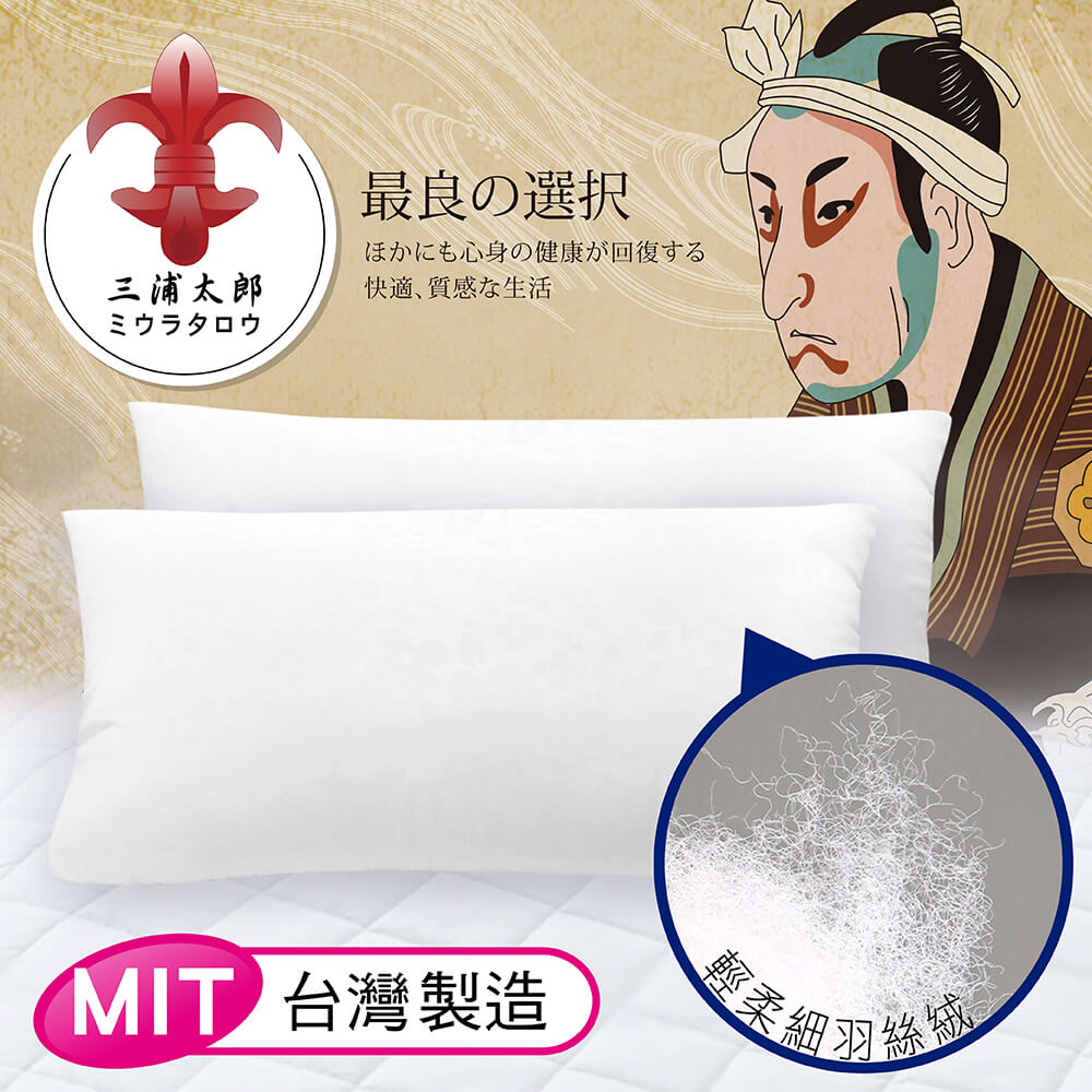 CERES 席瑞絲 三浦太郎防蹣抗菌壓縮枕-白               