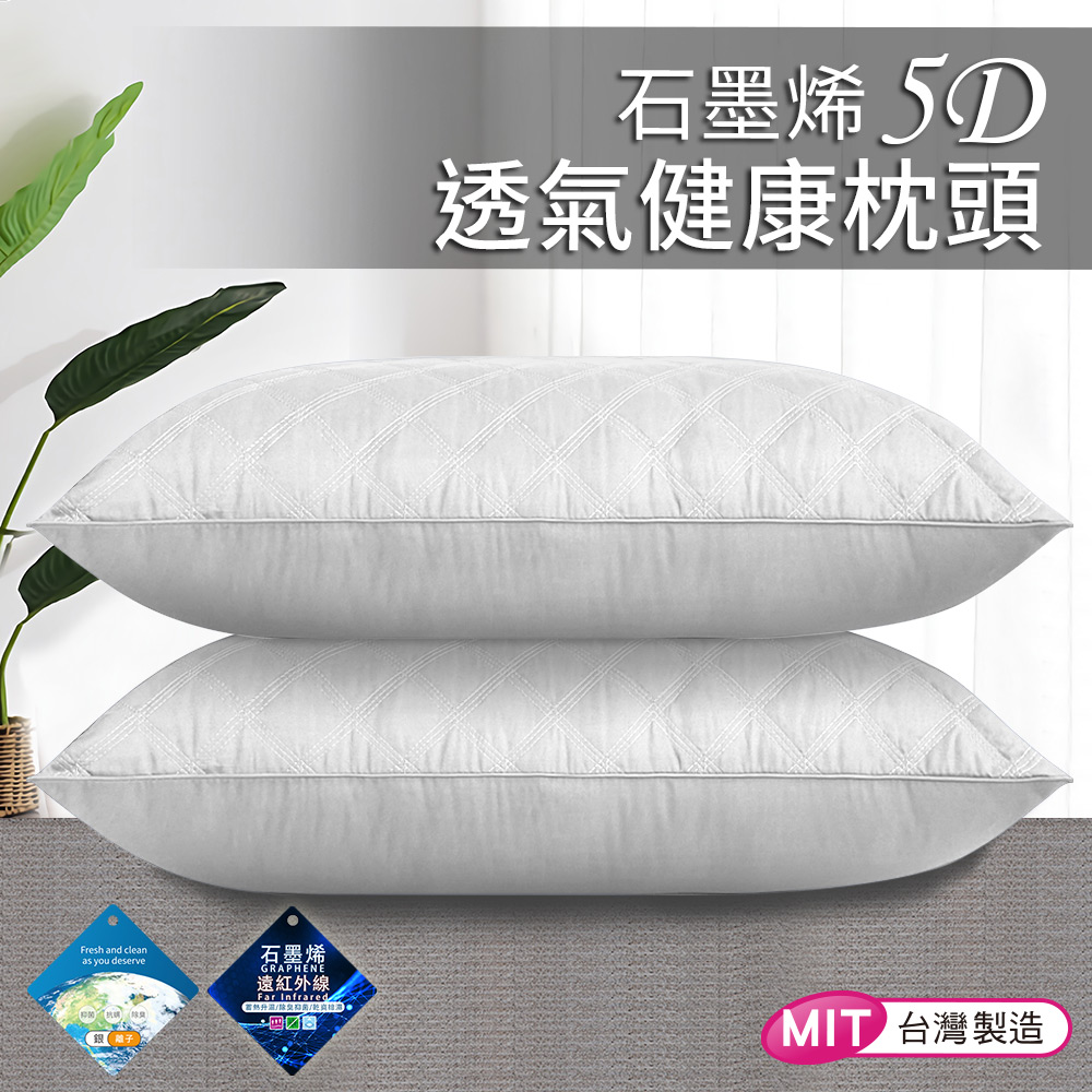 CERES 席瑞絲 石墨烯銀離子健康枕單顆入/白色             