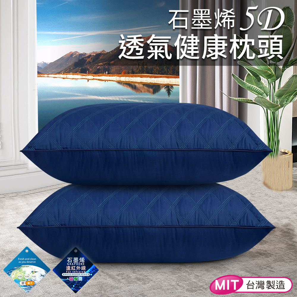 CERES 席瑞絲 石墨烯銀離子健康枕單顆入/深藍           